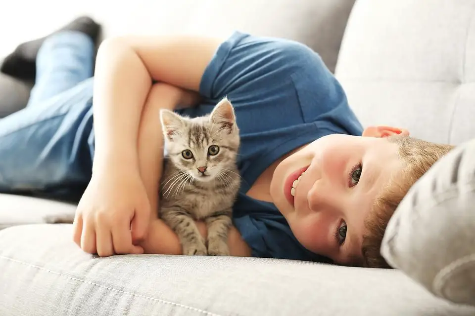 children playing with cats