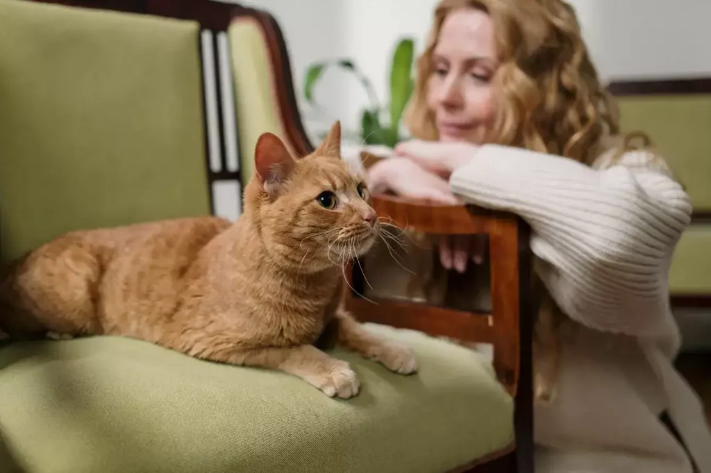 cat with owner