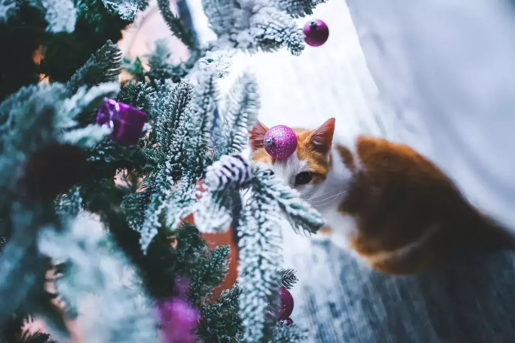 kitten christmas tree